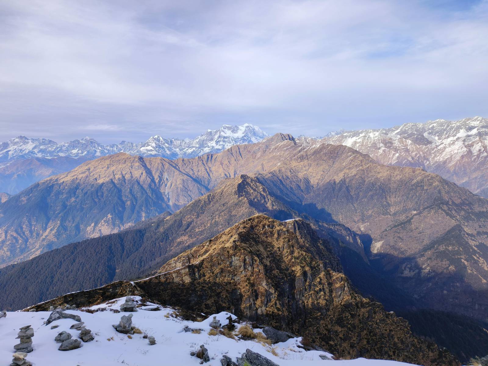 Auli